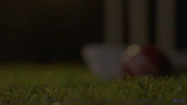 Музыка и пейзажи соединяются сильнее любых слов - If-I-Could-Remember -- Ketsa -- Bedding