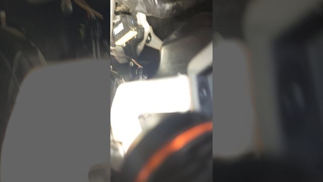 1000017459.mp4