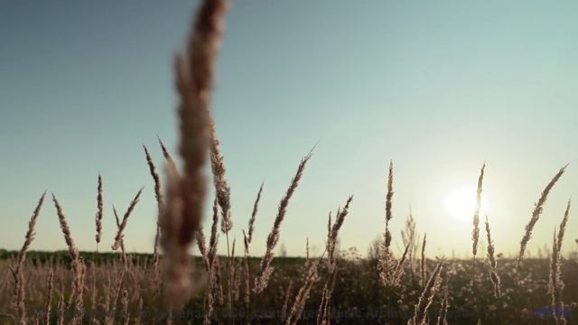 Танцуйте под этот трек - он создан для влюблённых! - Loss For Words -- Big Quiet -- Live at Monty Ha