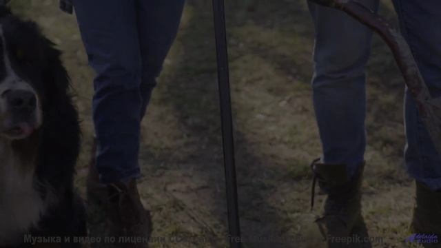 Невозможно отвести взгляд под такую музыку и виды - Выпускайте Кракена -- POVALISHIN DIVISION -- Вып