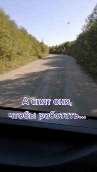 Реалии жизни...