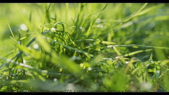 Почему ученые боятся этой комбинации звуков и образов - Song 1 -- G. H. Everetts -- looks at mountai