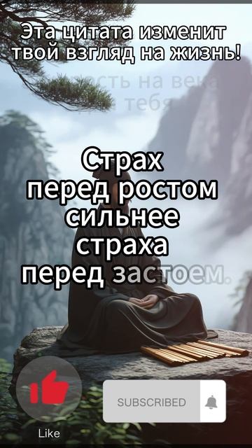 Эта цитата изменит твой взгляд на жизнь!