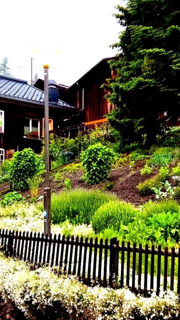 Камера поймала редчайший момент