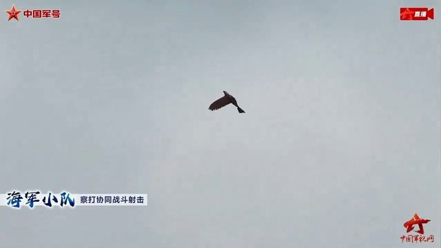 🦅 Там надо внимательнее смотреть в небо 

Китайцы изобрели БПЛА для морской пехоты в форме птички.
