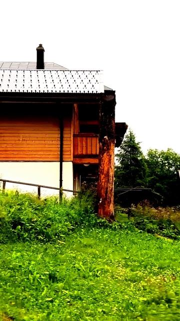 Камера поймала эмоциональную реакцию