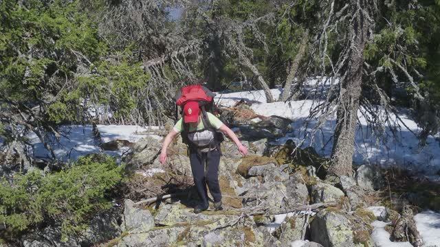 Четыре стены.