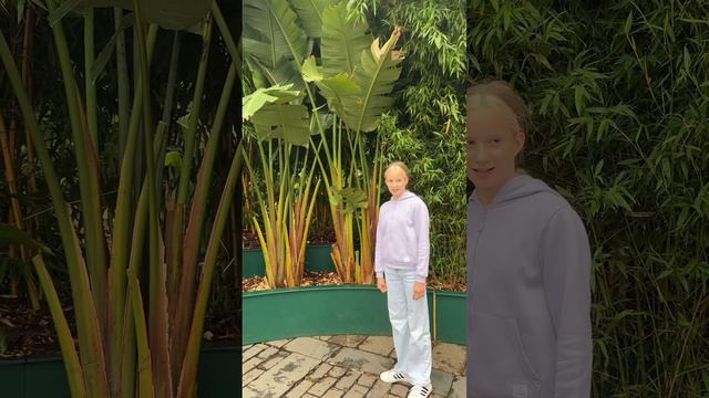 Июнь, Красная площадь