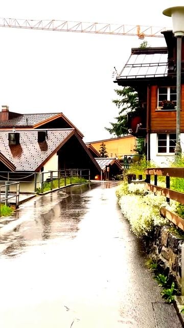 Камера фиксирует правду