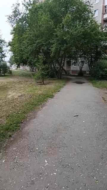 Прогулка