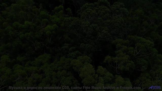 Когда пейзажи говорят, а музыка отвечает... - Slip (XVII) -- opo -- Estudios Indigeniformes