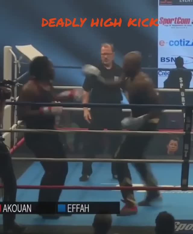 Смертельный хай-кик. Это САВАТ #хайкик #highkick #savate #ufc #shorts #kikboxing #knockout #muaythai