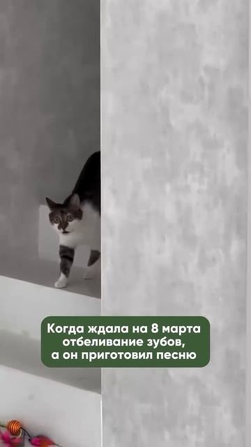 9 ноября 2024 г.