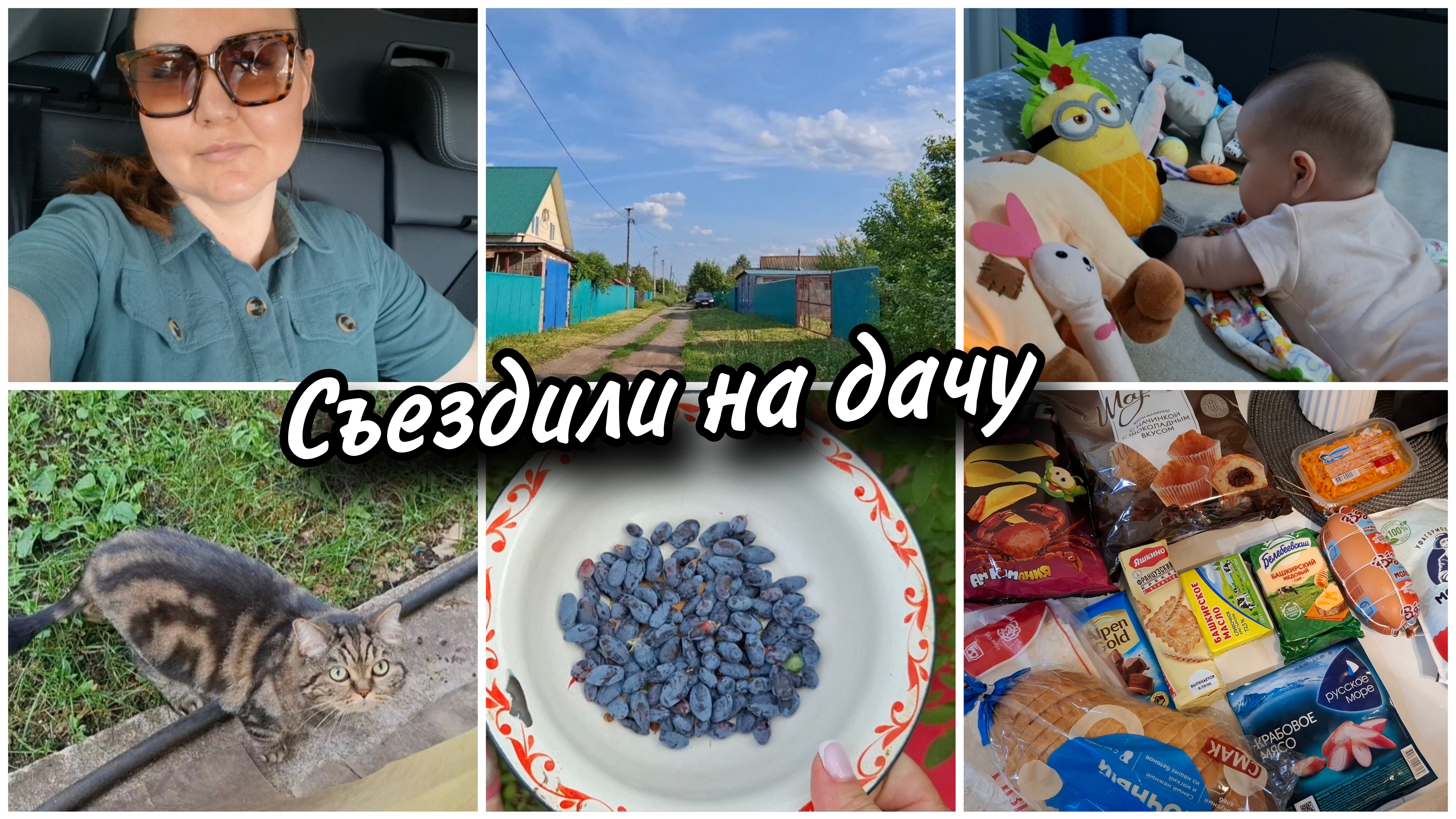 🏡Съездили на дачу. Отвезли нашу Джесси. Обзор покупок. Злость берет за таких покупателей 😬