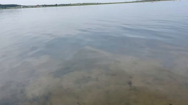 Температура воды в соленом озере в Завьялово 14.06.2025