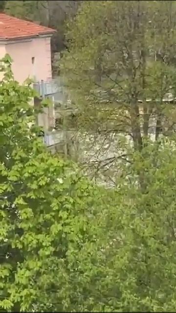 Вид из окна/Доброе утро/Живу и радуюсь