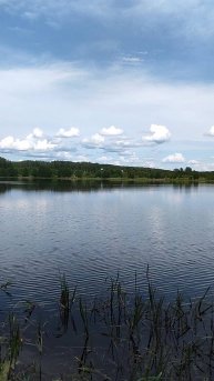 Продажа участков в Сокольском районе на берегу Горьковского моря