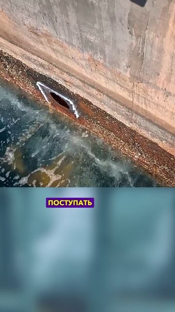 Нарочно затопили судно