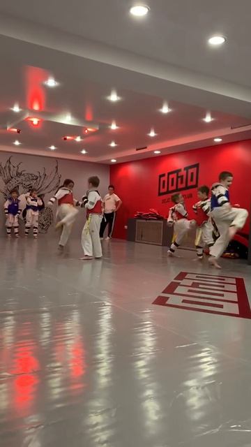 ТРЕНИРОВКА ТХЭКВОНДО ВТФ дети в Dojo Sport Club (как проходят тренировки)
