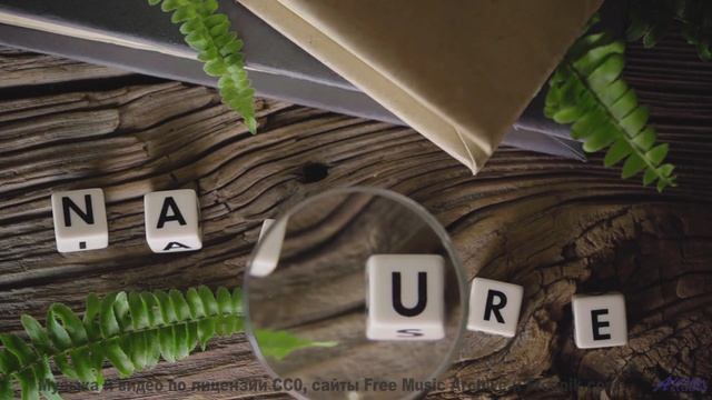 Бескрайние степи и бесконечный вайб! - High-Vibe -- Ketsa -- Summer With Sound