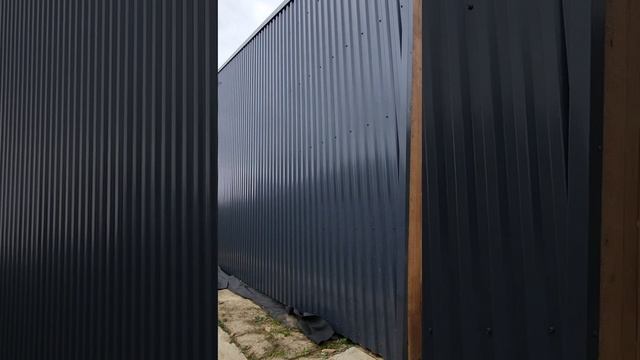 1000041991.mp4