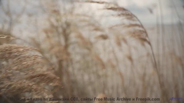 Звуки, создающие голограммы - будущее уже здесь! - Corporate Vision -- Scott Holmes Music -- Corpora