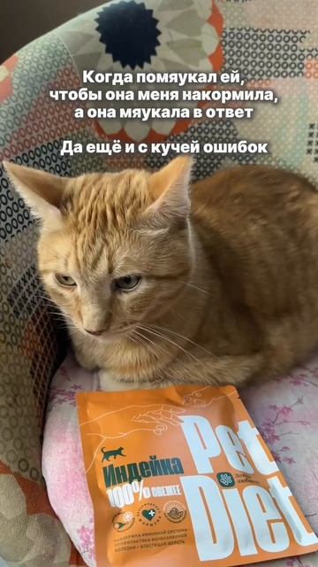 Pet Diet - натуральное питание для кошек