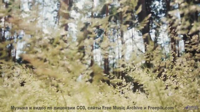 Вид на горы становится личным откровением с этой музыкой - Better At Forgetting -- Plates Of Cake --