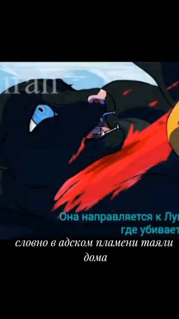 кленовница