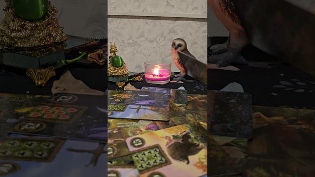 Мысли, чувства и действия.mp4