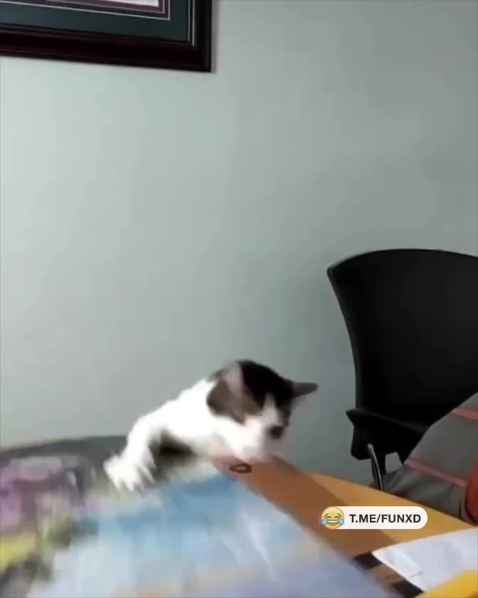 У тебя ушло три дня на это? Я очень рад😁