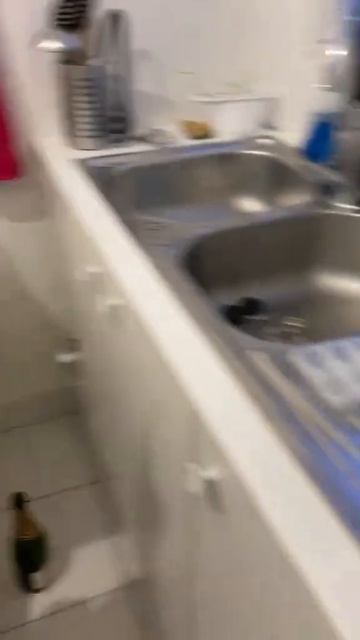 Что на обед