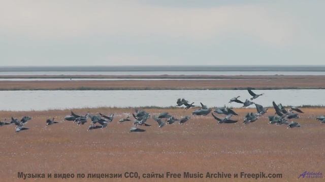 Музыка, которая подчёркивает величие планеты - Above The Clouds -- Kirk Osamayo -- Season Two (PURPL