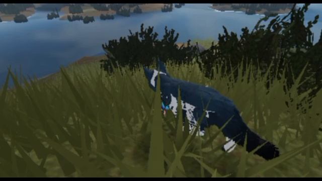 Выберите заставку (сама не могу решить😅)