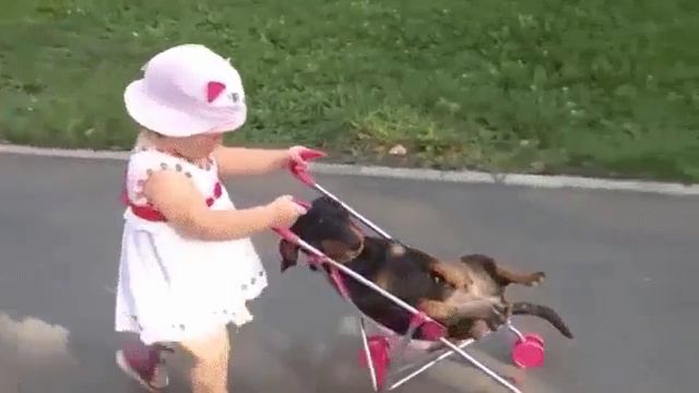 Жизнь удалась...