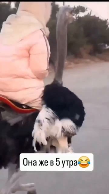 каждый из нас субботним утром