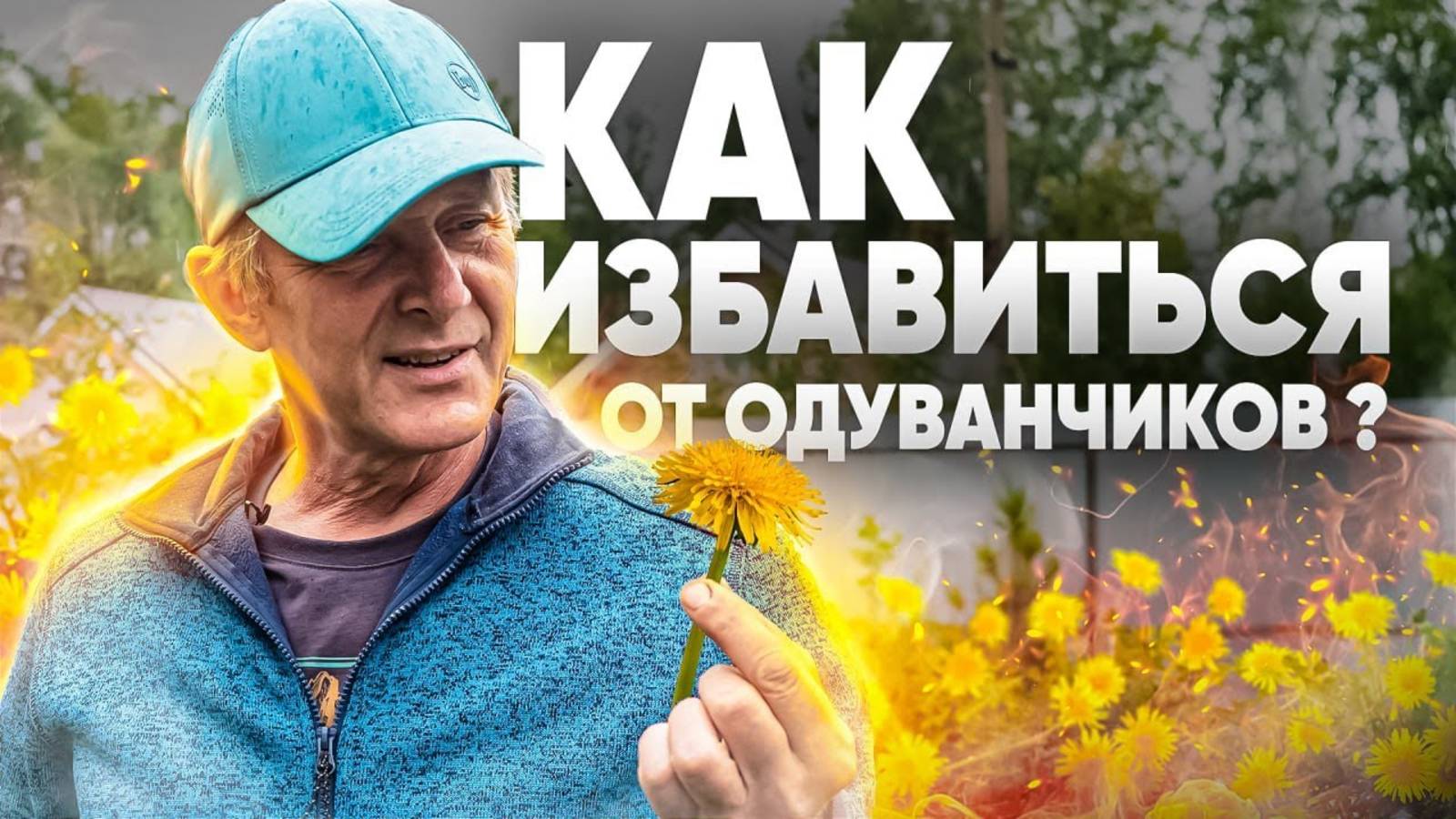 СПОСОБЫ БОРЬБЫ С СОРНЯКАМИ. Как избавиться от одуванчиков на участке