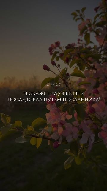 Сура 25 Аль-Фуркан (26-29). Чтец: Мухаммад аль-Люхайдан