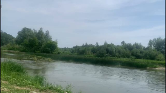 Как травмы детства могут отложить отпечаток на всю дальнейшую жизнь