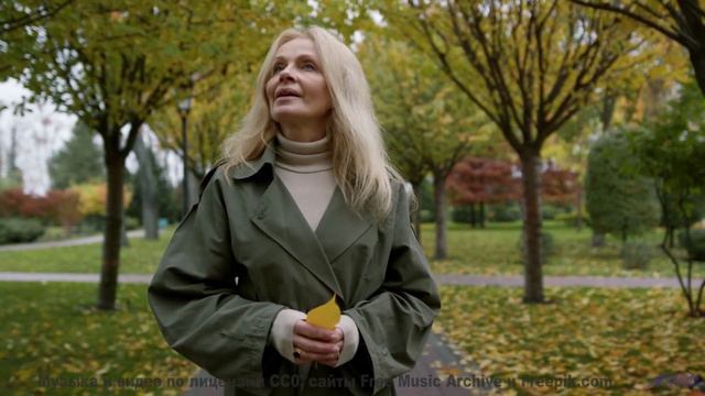 Эти звуки и леса спасут вас от серых будней - Inner Love -- Vincent Augustus -- Inner Love