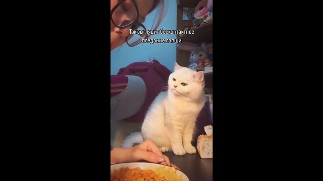Я РЖАЛ ДО СЛЁЗ 🤣25 МИНУТ ОТБОРНЫХ ПРИКОЛОВ 2025 Смешные видео - Лучшие ПРИКОЛЫ #7