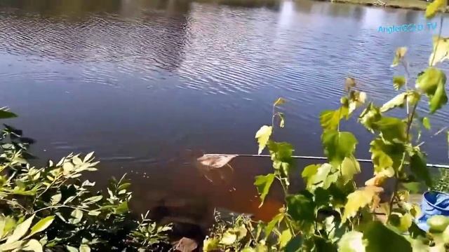 Небольшая зарисовка о моих рыболовных приключениях.