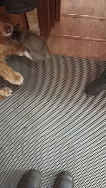1000016109.mp4