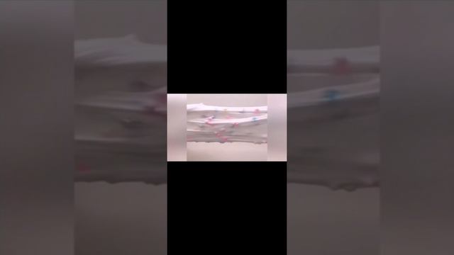 petal_20250613_120629.mp4
