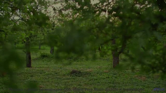 Мелодия, которую слышно только в полночь. - Track 06 -- Berbere Superstar -- The Best Things Are Nev