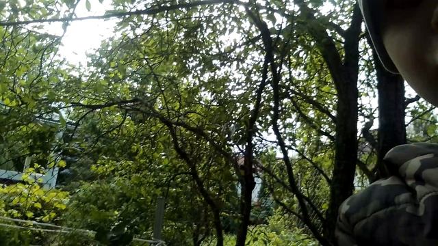 То есть я вам показал всё что я мог