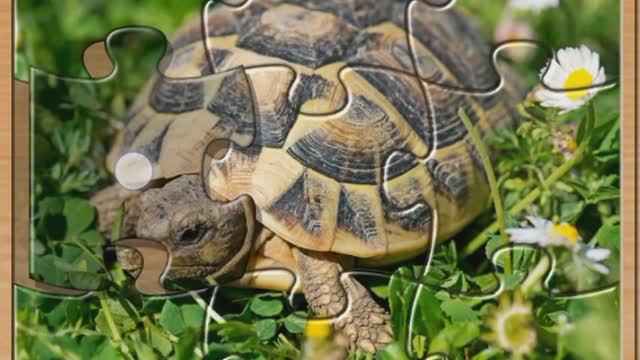 Мультики для детей. Мультфильмы для детей.