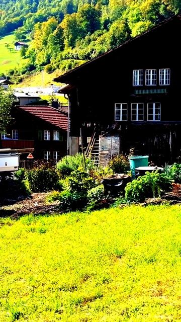 Секунды, пойманные на камеру