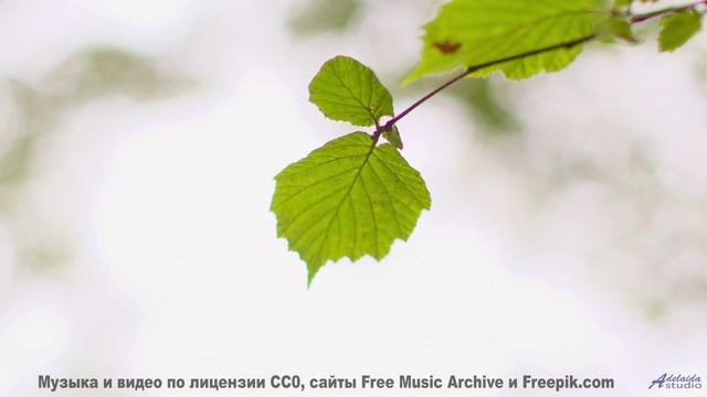 Этот саундтрек - как путешествие в зимнюю сказку! - Assmack -- Podington Bear -- Haplessly Happy (Bo