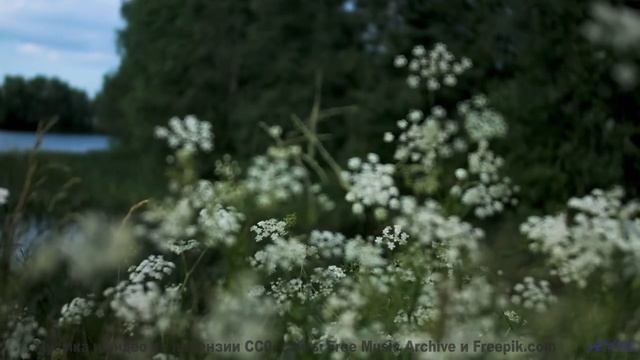 Природа глазами робота - увидите мир по-новому! - Mountains All Around Us -- Scott Holmes Music -- R